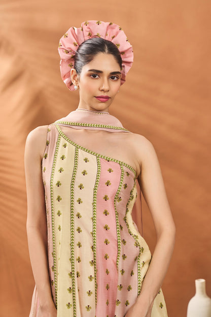 Sorbet Petal Play Anarkali Set