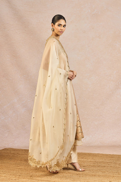 'Tera Khayal' Anarkali Set
