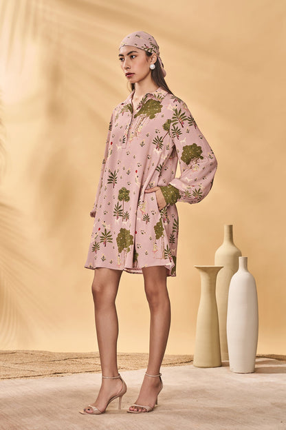 Pink Pirouette Picnic Mini Dress