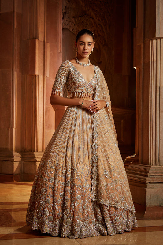 Mushroom Ombré Dyed Organza Lehenga Choli Set with Tulle Dupatta
