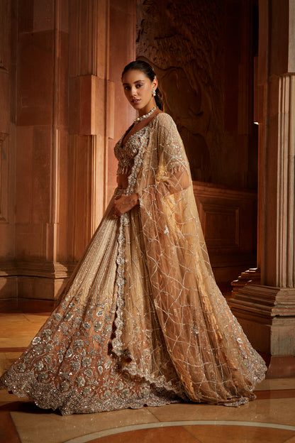 Mushroom Ombré Dyed Organza Lehenga Choli Set with Tulle Dupatta