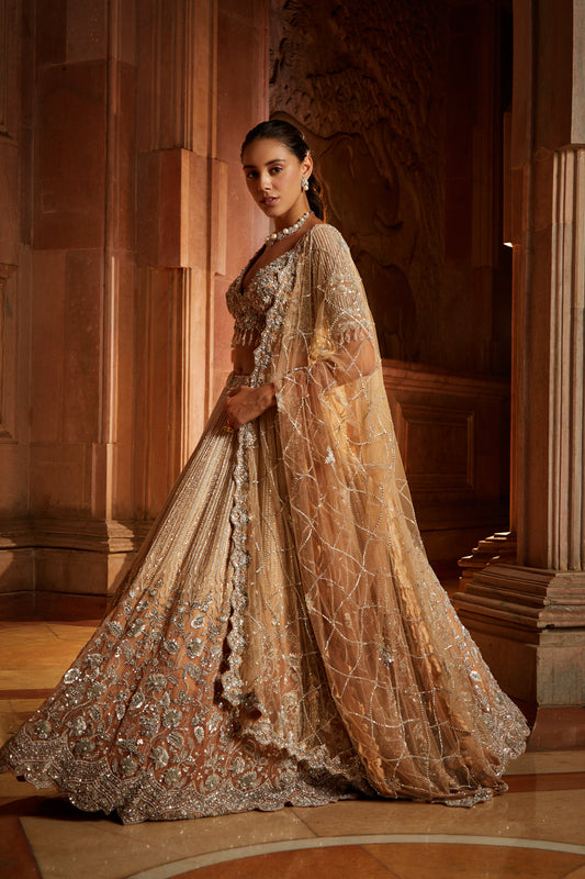Mushroom Ombré Dyed Organza Lehenga Choli Set with Tulle Dupatta