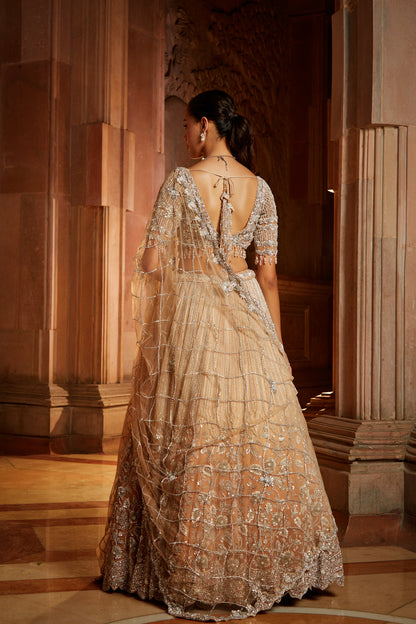 Mushroom Ombré Dyed Organza Lehenga Choli Set with Tulle Dupatta