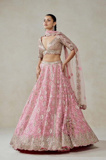 Pink Organza Mirror Work With Multiresham Lehenga Set