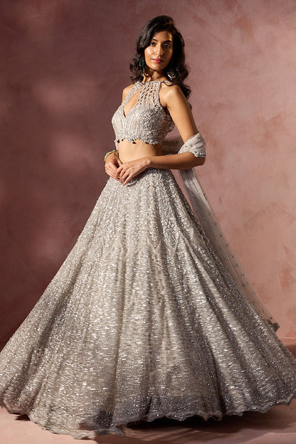 Silver Grey Net Lehenga Set