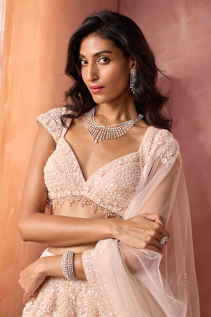 Blush Pink Net Lehenga Set