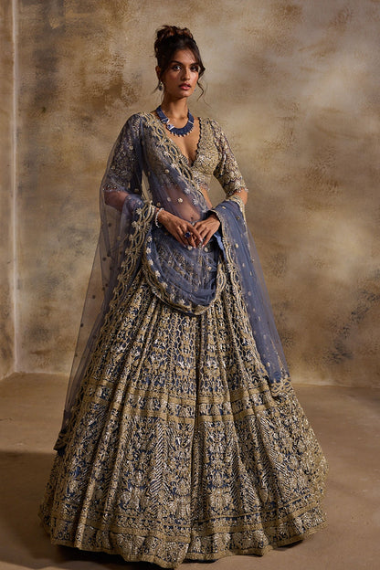 Blue Grey Net Lehenga Set