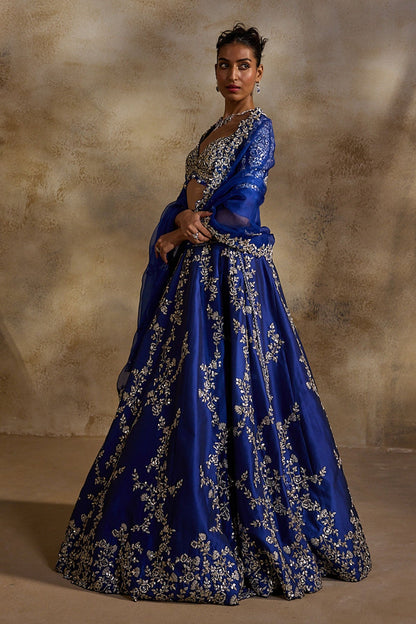 Electric Blue Taffeta Gota Work Lehenga Set