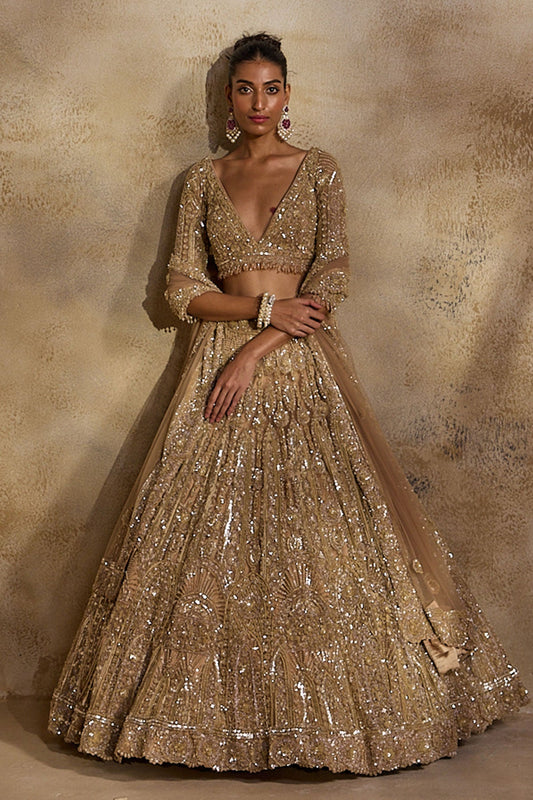Champagne  Gold Lehenga Choli Dupatta