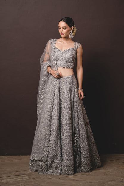 Silver Tulle Lehenga Choli Set