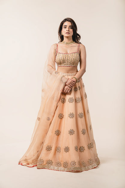 Peach Organza Lehenga Choli Set