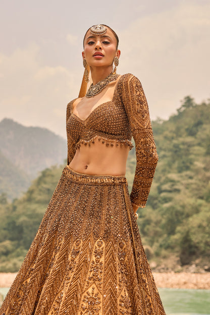Copper Jewelled Lehenga