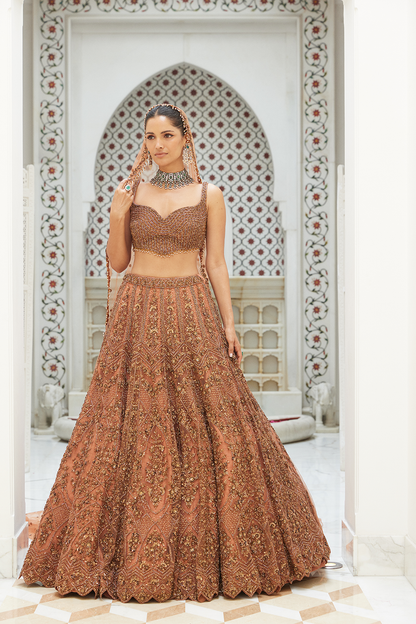 COPPER NET LEHENGA CHOLI SET WITH HEAD VEIL