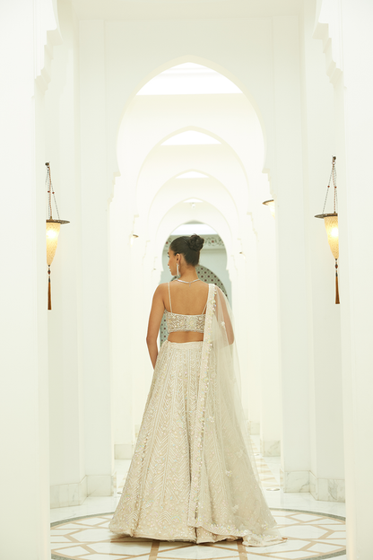 IVORY NET LEHENGA CHOLI SET