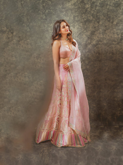 Handwoven Blush Pink Silk Lehenga
