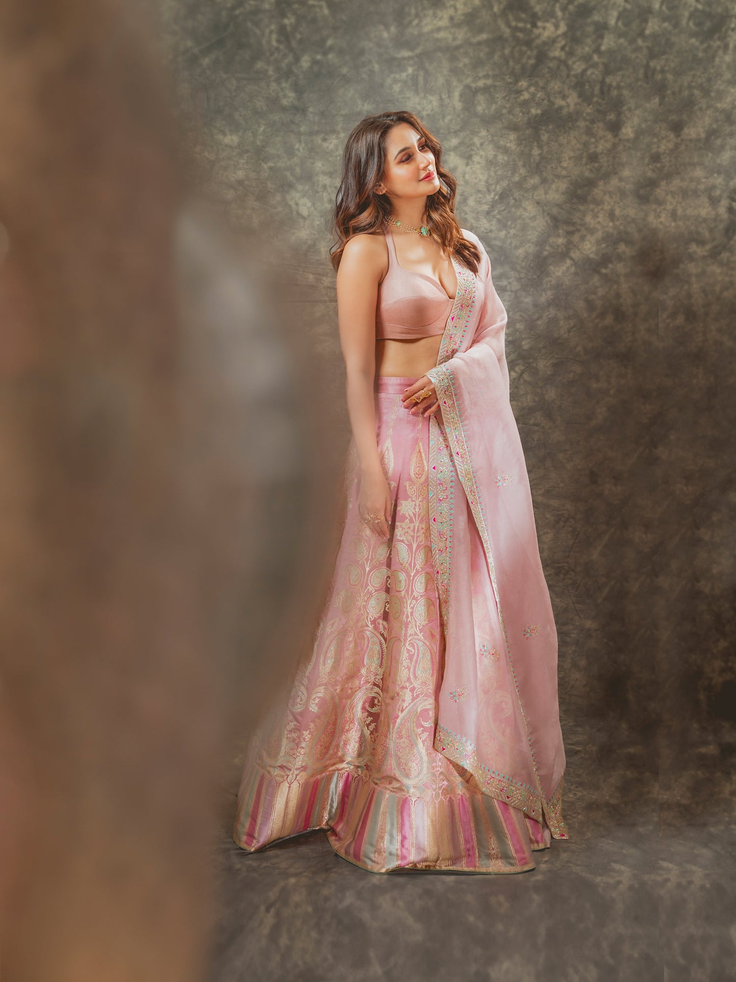 Handwoven Blush Pink Silk Lehenga