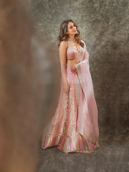Handwoven Blush Pink Silk Lehenga