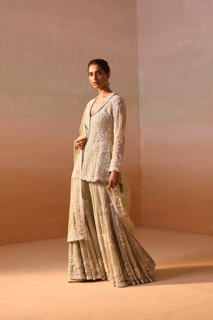Gauahar Khan In CARDAMOM COLOUR HEAVY SHARARA SET
