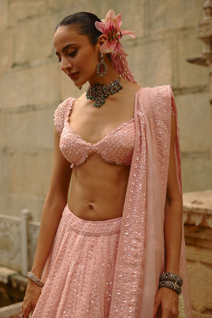 Pink Net Lehenga Set