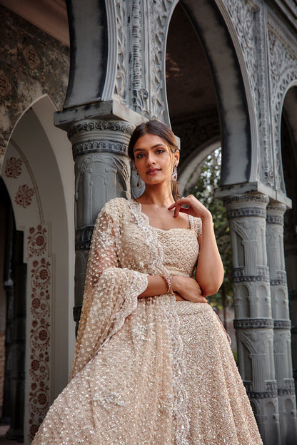 Blush Tulle Lehenga Set