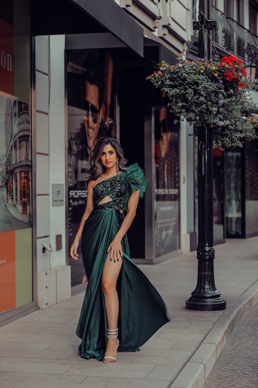 Glazed wings saree