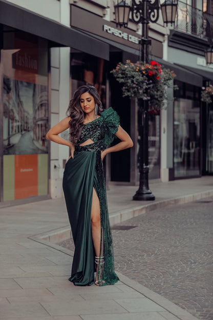 Glazed wings saree