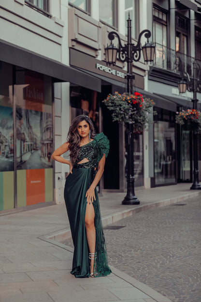 Glazed wings saree