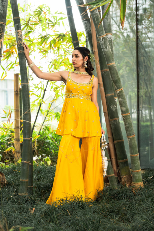 Aabira Sharara Set