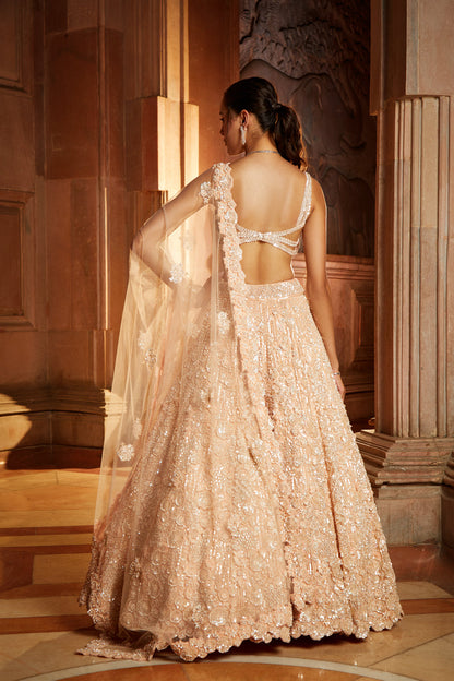 Peach Tulle Lehenga Choli Dupatta Set
