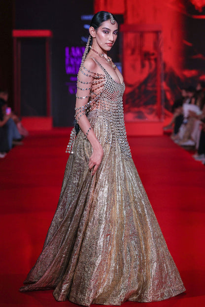 Darpanika Lehenga Set