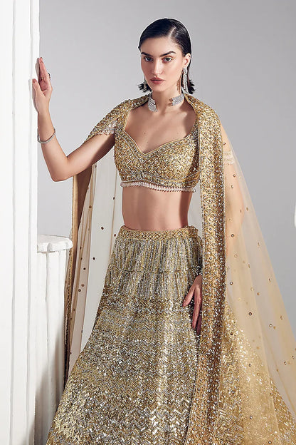 Gold net & silk embroidered lehenga set