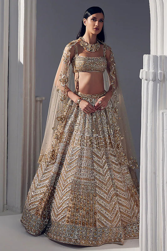 Light gold net & silk embroidered lehenga set
