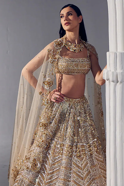 Light gold net & silk embroidered lehenga set