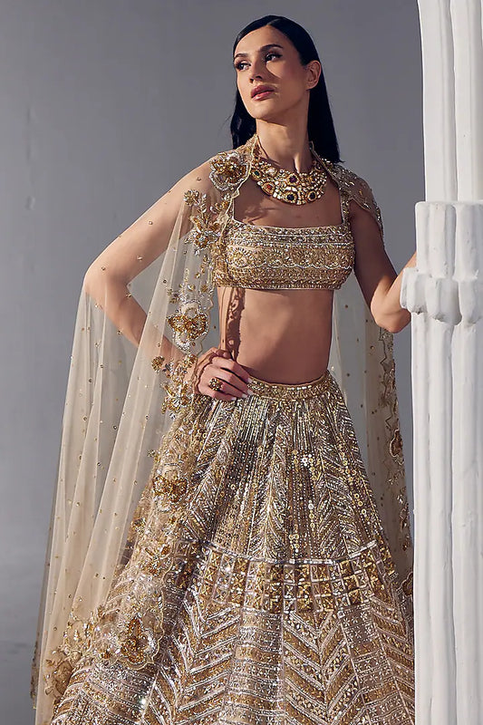 Light gold net & silk embroidered lehenga set