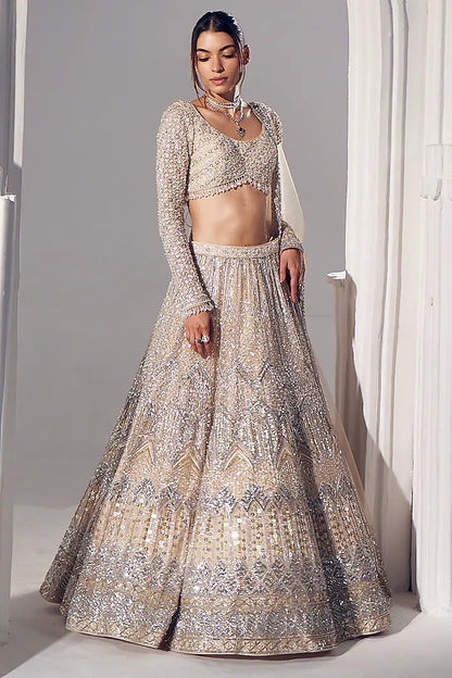 Ivory net & silk embroidered lehenga set