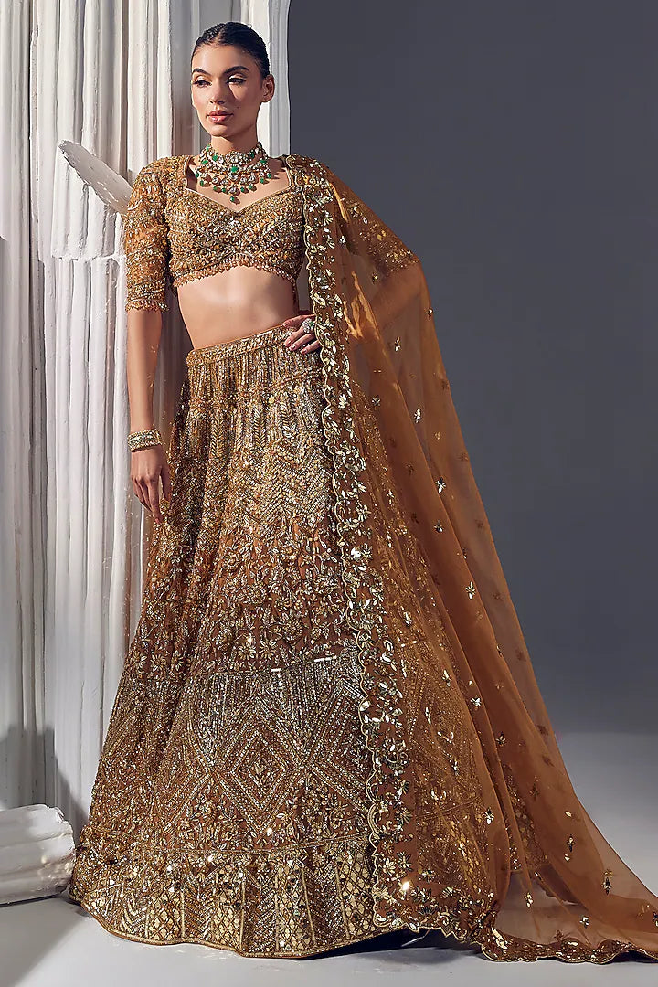 Dark gold net & silk embroidered lehenga set