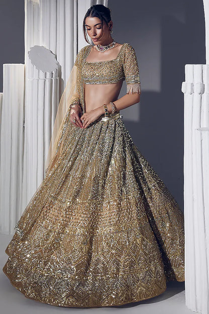 Gold Net & Silk Embroidered Lehenga Set