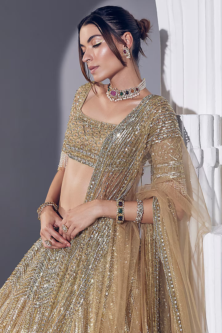 Gold Net & Silk Embroidered Lehenga Set
