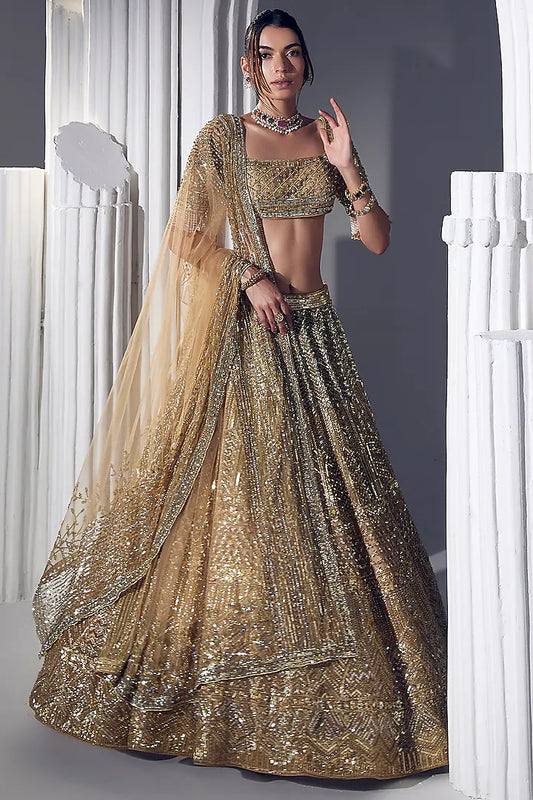 Gold Net & Silk Embroidered Lehenga Set