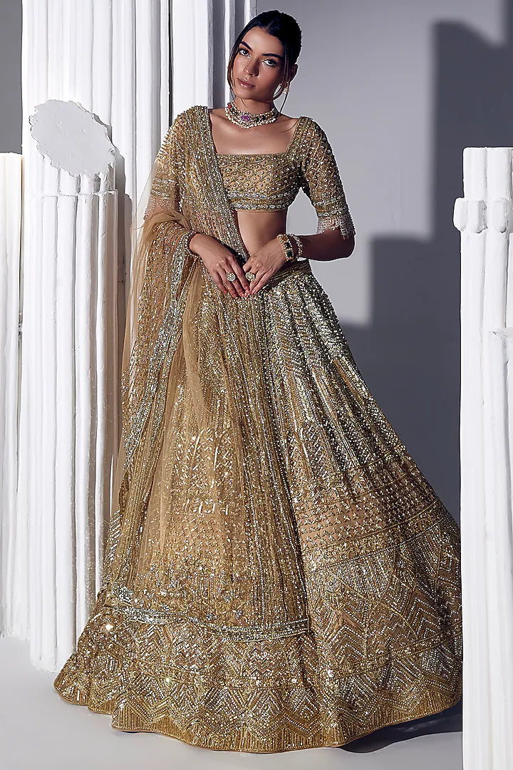 Gold Net & Silk Embroidered Lehenga Set