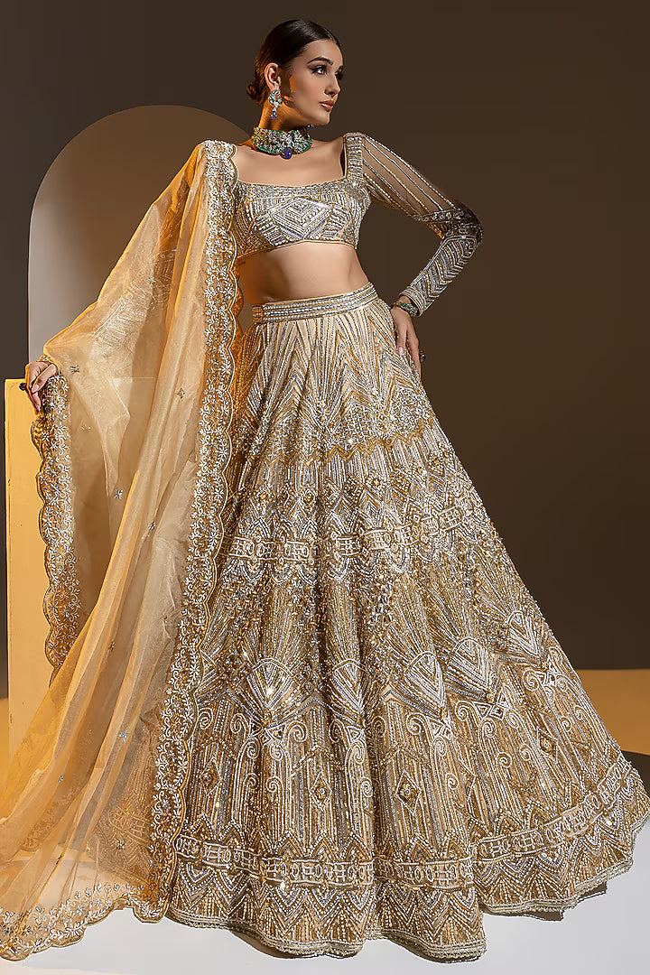 Beige Net 3D Embroidered Lehenga Set