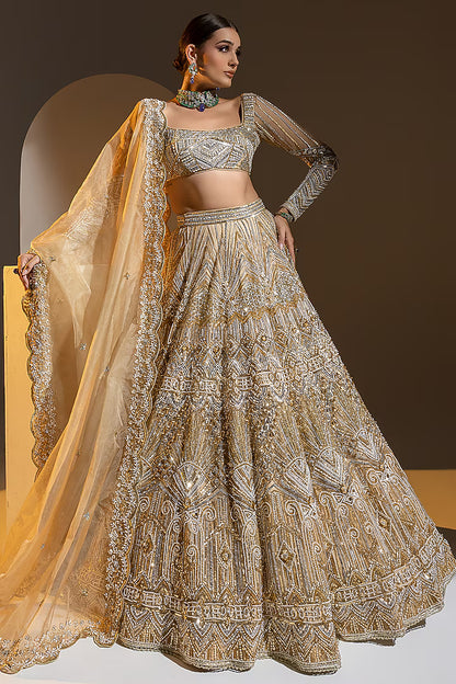 Beige Net 3D Embroidered Lehenga Set