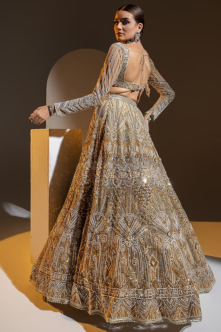 Beige Net 3D Embroidered Lehenga Set