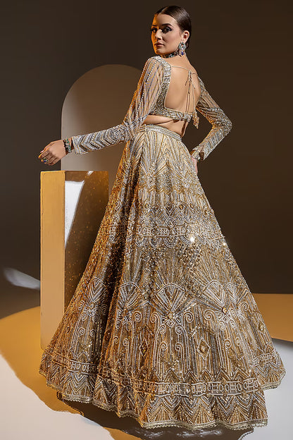 Beige Net 3D Embroidered Lehenga Set