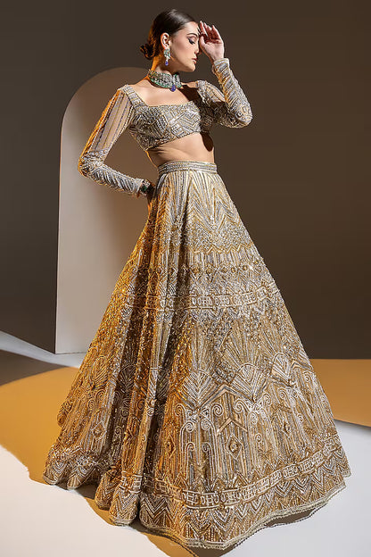Beige Net 3D Embroidered Lehenga Set