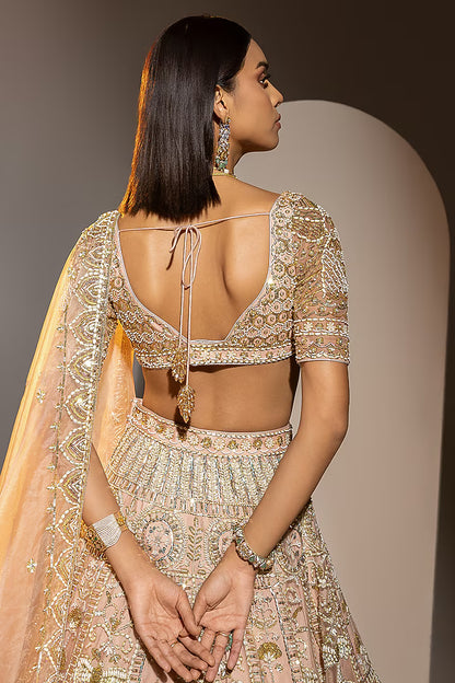 Blush Pink Net Sequins & Pearl Embroidered Lehenga Set