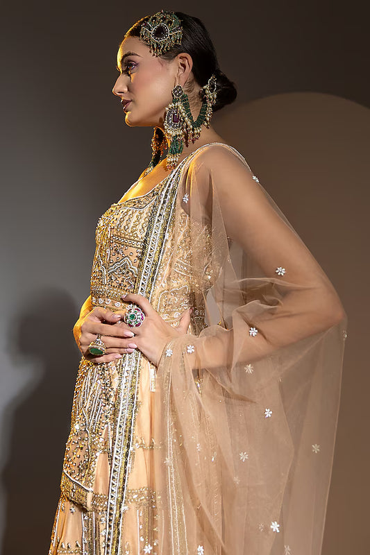 Peach Net Sequins & Pearl Embroidered Palazzo Pant Set