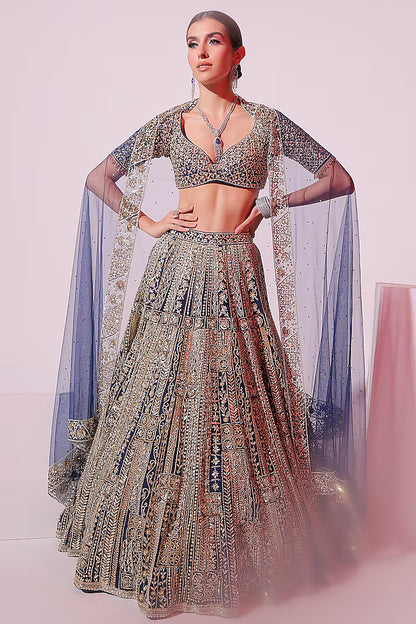 Navy Blue Net 3D Embroidered Lehenga Set