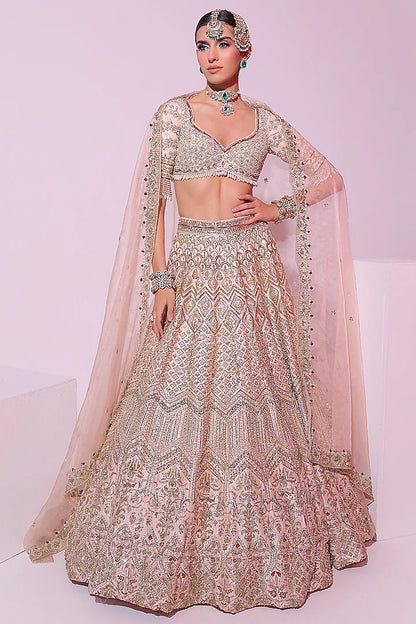 Powder Peach Raw Silk Zari Embroidered Lehenga Set