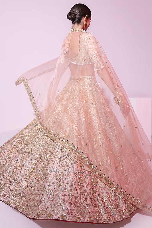 Powder Peach Raw Silk Zari Embroidered Lehenga Set